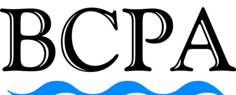 Mark Bailey presents a free continuing education webinar on working with expert witnesses to members of the british columbia paralegal association