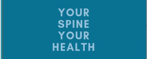 Gunter discusses whiplash injury at Your Spine Your Health conference