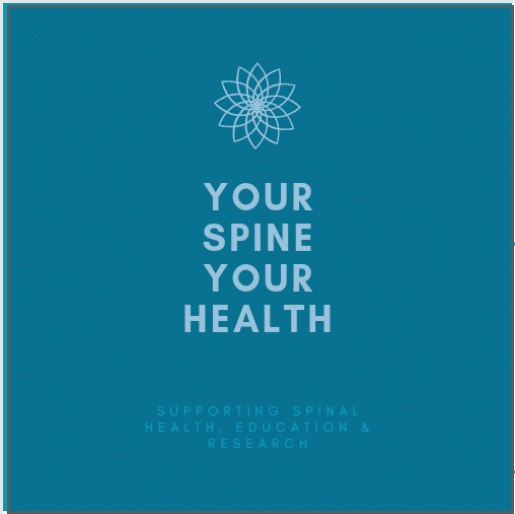 Gunter discusses whiplash injury at Your Spine Your Health conference