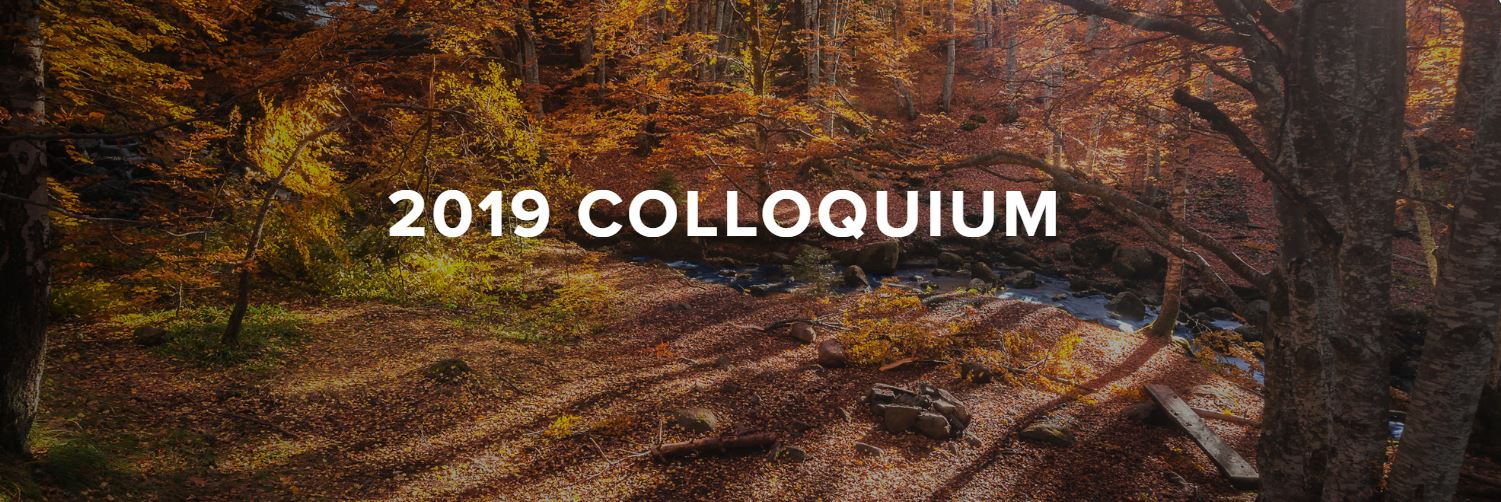 2019 Colloquium Advocacy Session – Expert Witness