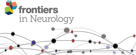 Electrical vestibular stimuli evoke robust muscle activity in deep and superficial neck muscles in humans Frontiers in Neurology Gunter Siegmund