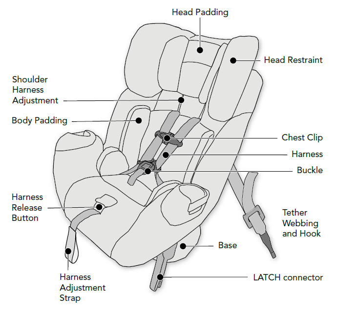 Children In Vehicle Collisions MEA Forensic