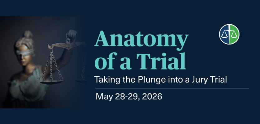 Anatomy of a Trial: Taking the Plunge into a Jury Trial
